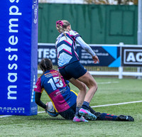 Sadie scores