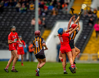 Kilkenny win the high ball