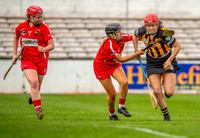 Determined burst by a Kilkenny forward
